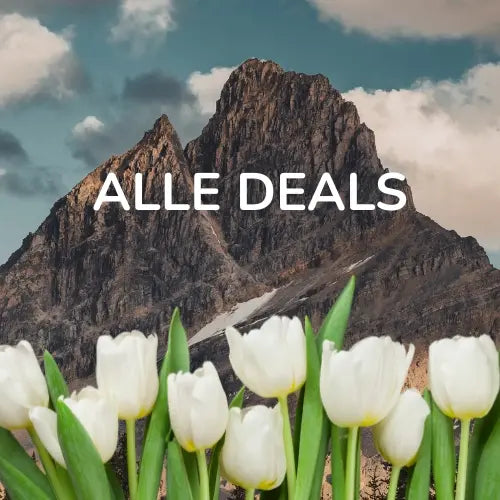 Alle Deals Bild