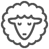 Merino Essential